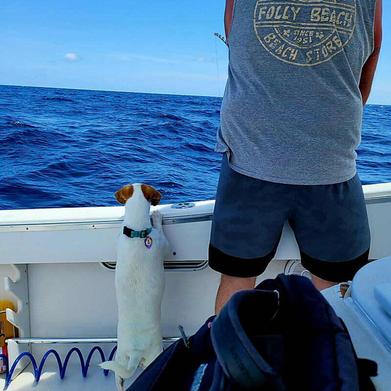 man fishing on a boat and a little dog watching by his side